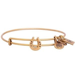 NWT Alex and Ani Horseshoe Bracelet
